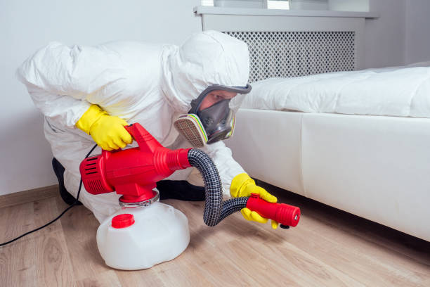 Best Affordable Pest Control Services  in USA